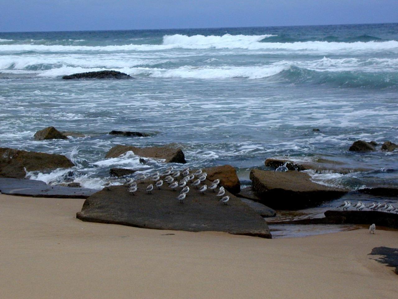 Hornbill House Bed and Breakfast Mtubatuba Exterior foto